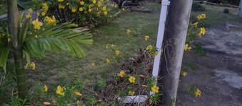 Relaxing vacation home getaway where you can experience local Barbadian culture