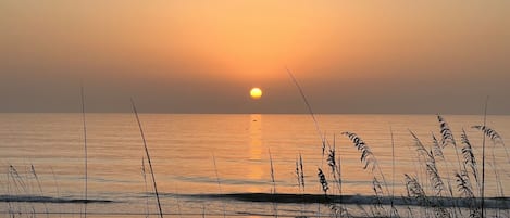 海滩