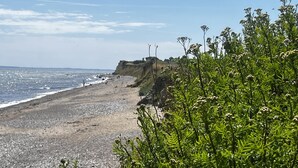 A coastal beach with rocky terrain and dense vegetation. - Ferienhaus Ostseele mit Whirlpool, Dampf- und Normale Sauna Sowie Kamin (Brodersby)