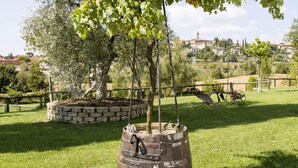 Un espace extérieur rustique, agrémenté d’un jardinière en forme de tonneau en bois contenant un arbre, le tout entouré d’une bordure en pierre et d’une zone herbeuse.