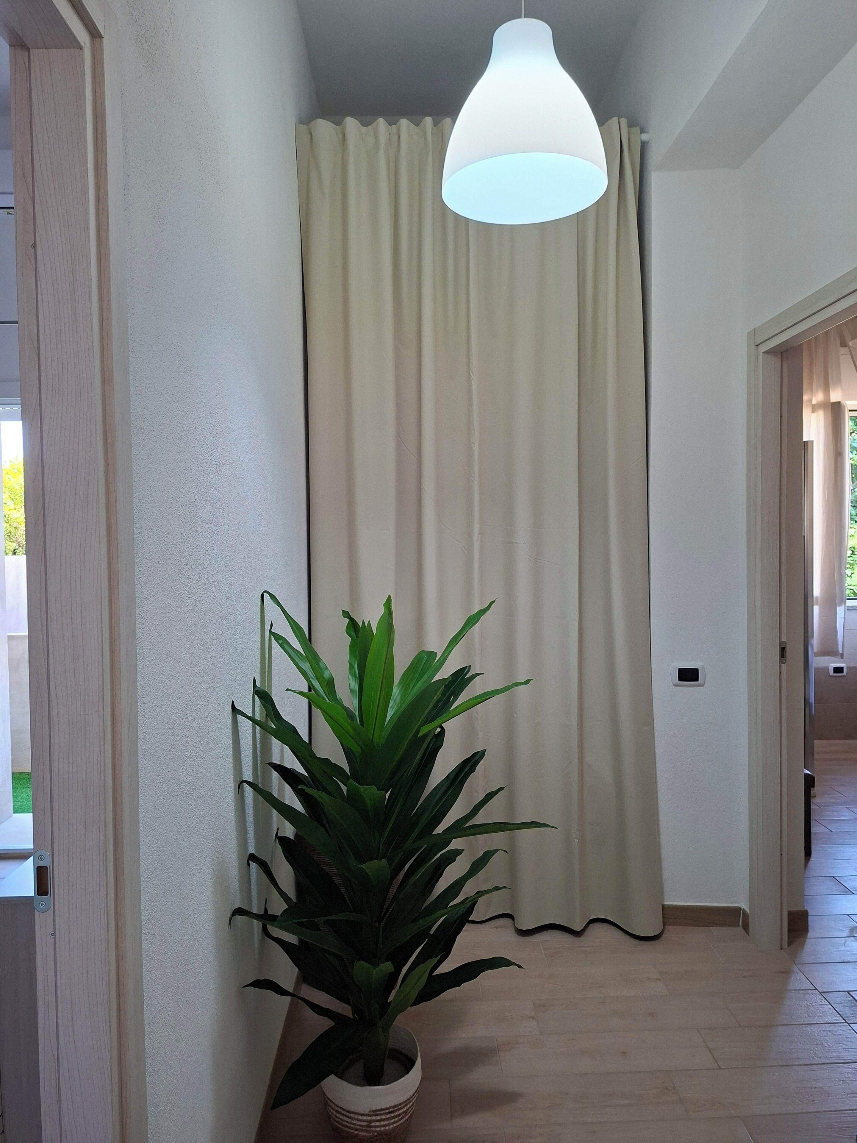 A hallway with a potted plant, a hanging light fixture, and a door leading to another room.