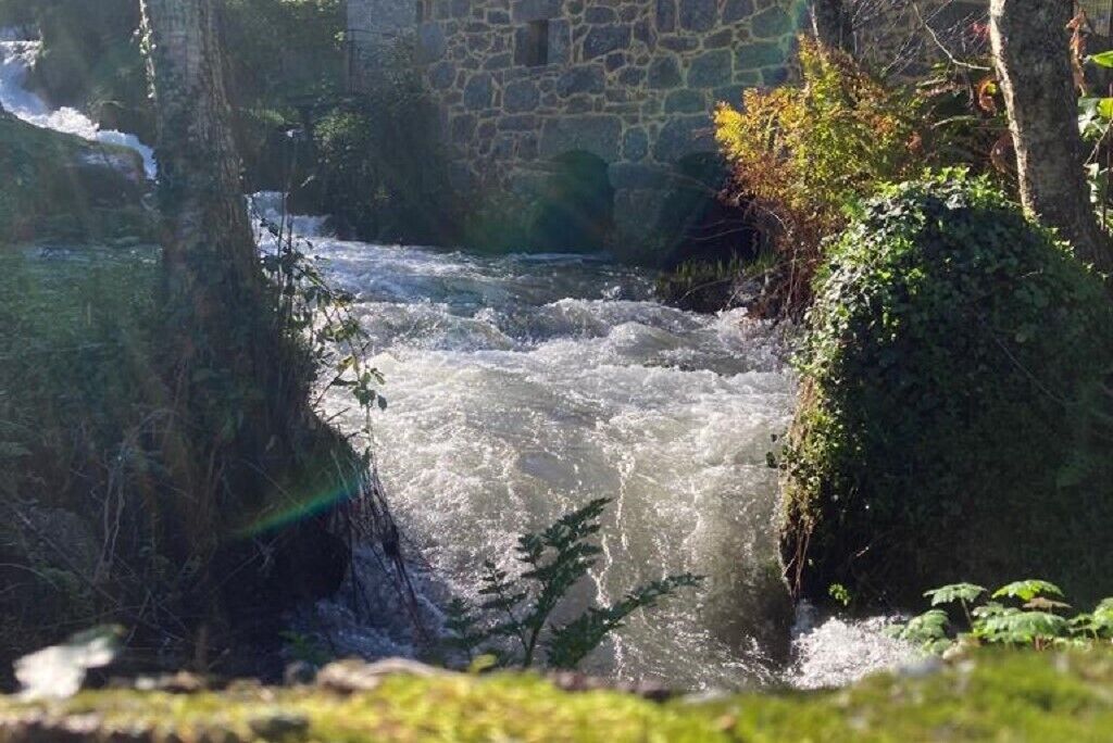 Une rivière qui coule sous un pont de pierre, le tout étant entouré de verdure.