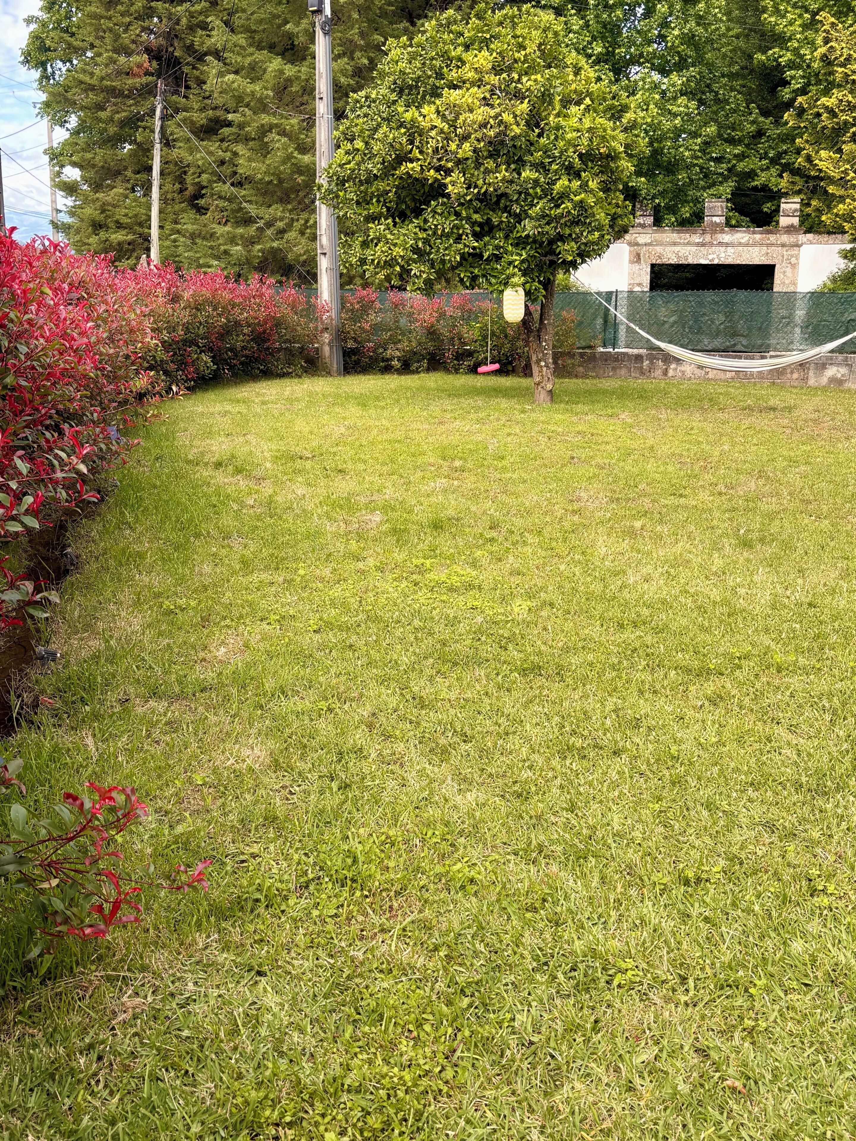 A grassy area with a hammock, a tree, and a stone structure.