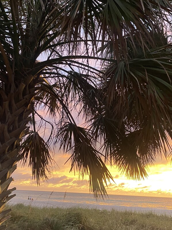 Solstolar och strandhanddukar