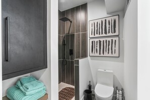 Assecador de cabells, tovalloles, sabó i paper higiènic 