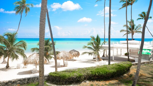 Ein Strand mit Palmen, weißen Liegestühlen und Reetdachschirmen.
