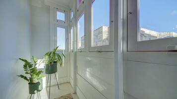 Un couloir étroit aux murs et aux portes blancs, agrémenté de deux plantes en pot et d’un tapis à motifs.