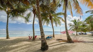 A beach with palm trees, a sandy area, and a few beach chairs and umbrellas.