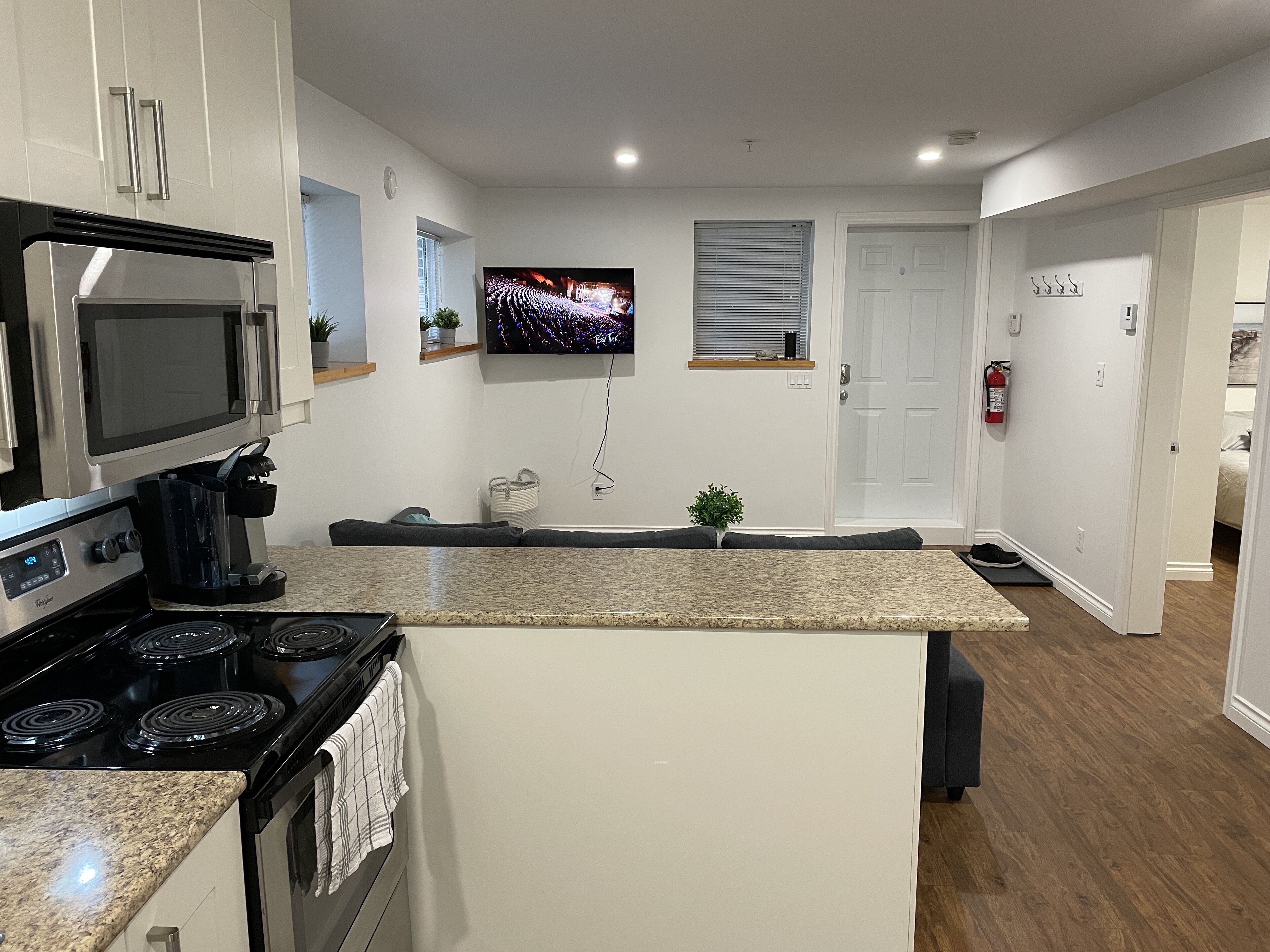 Una cocina moderna con encimera de granito, electrodomésticos de acero inoxidable, un televisor de pantalla plana y una pequeña planta en maceta.