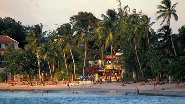A beach with palm trees, a pool, and beach chairs. - Studio Voilier - Résidence de la Baie Anse-mitan (Les Trois-Îlets)