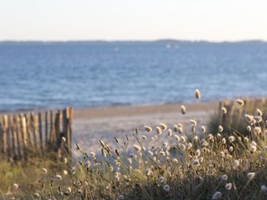 Beach - Beautiful apartment for 3 guests with WIFI, TV, terrace and pets allowed (Carnac)