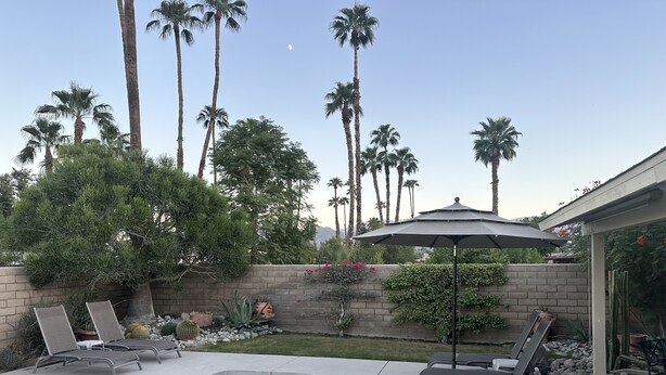A swimming pool with lounge chairs, a brick wall, and tall palm trees in the background. - In the Heart of Palm Desert! (Palm Desert)