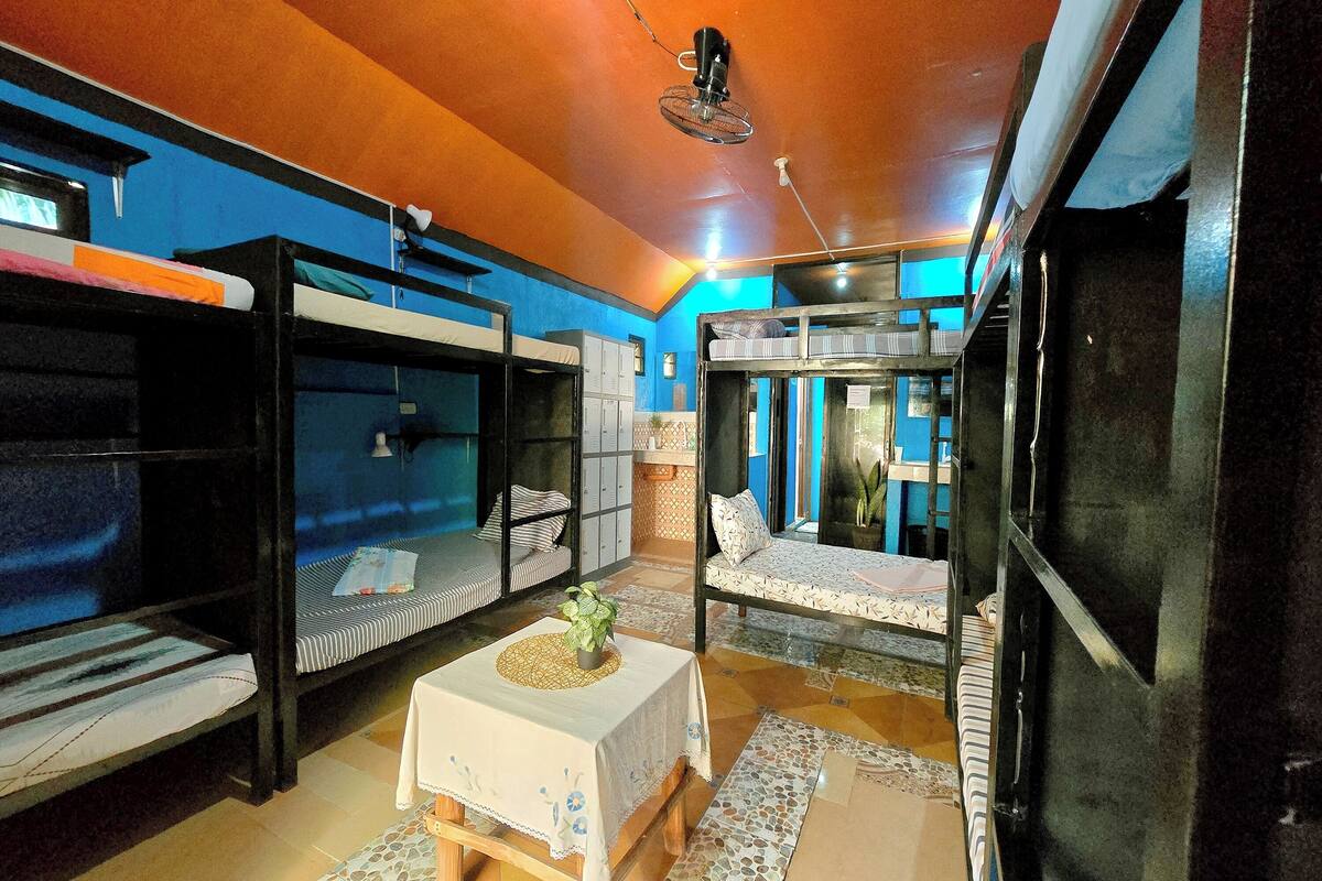 A dormitory room with bunk beds, a small table with a plant, and a window with a view.