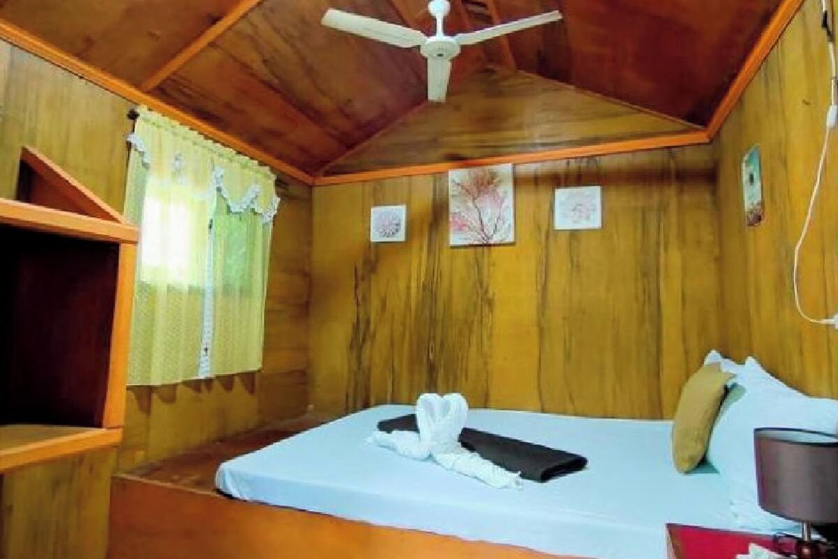 A wooden room with a bed, a ceiling fan, and a window with curtains.