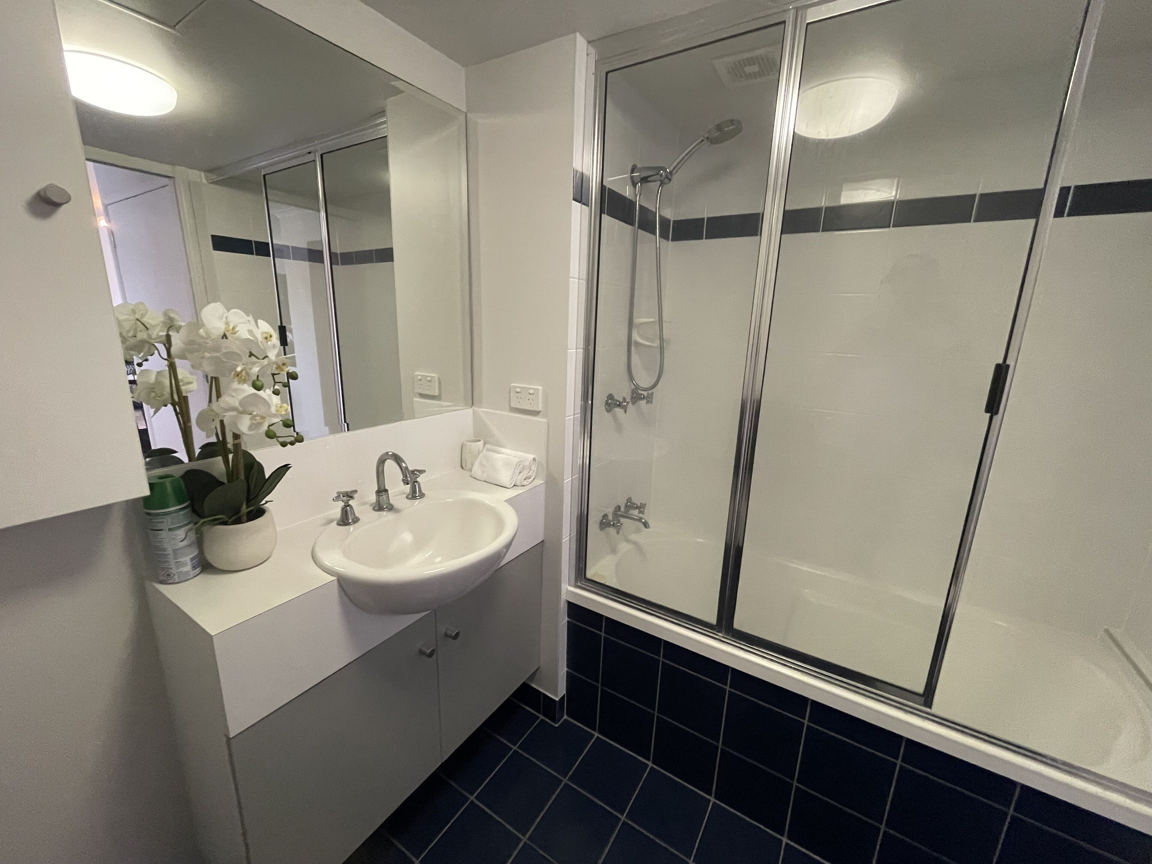 Premium Apartment | Bathroom | Hair dryer, towels
