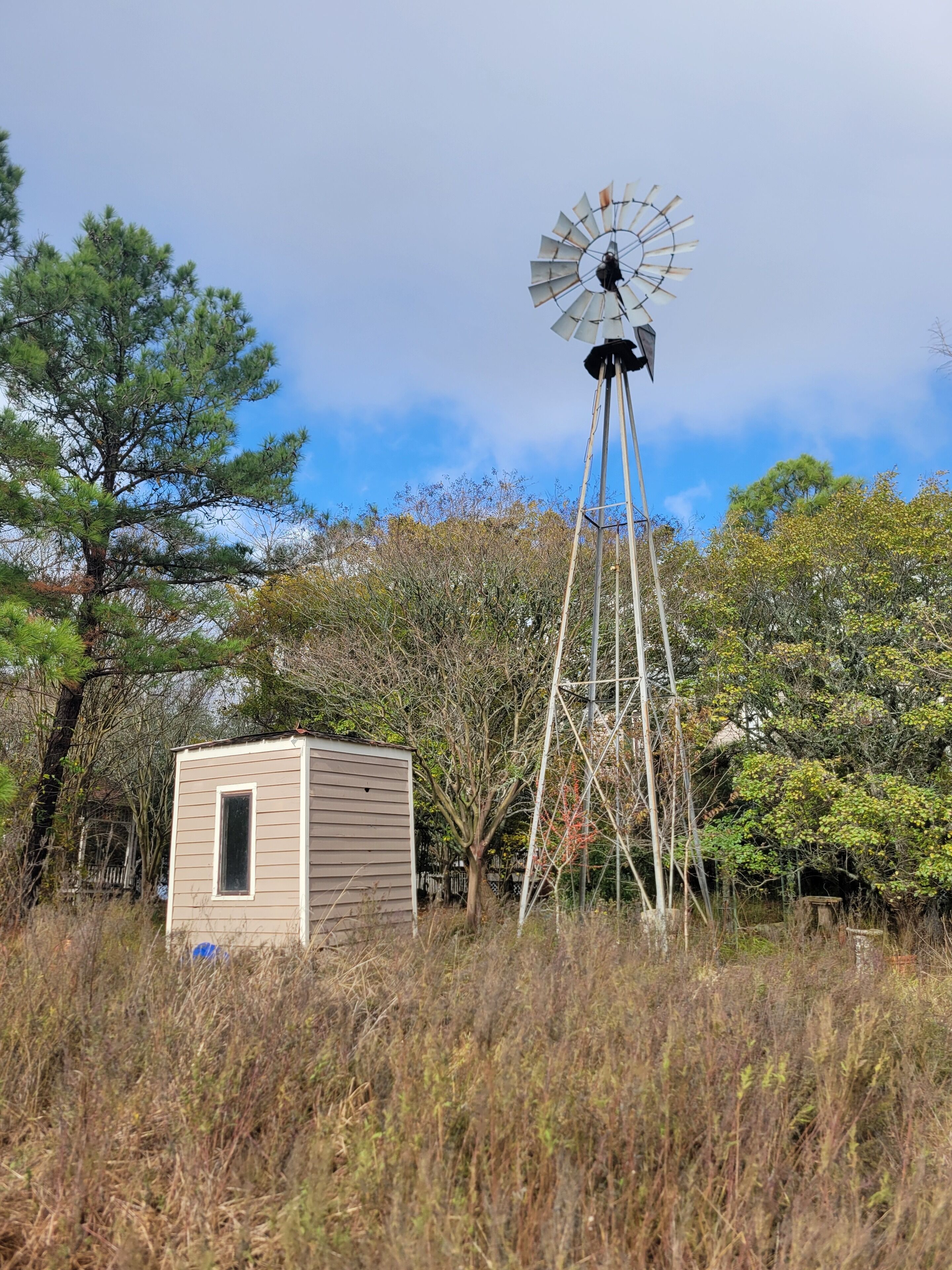 A windmill with a small wooden structure nearby.