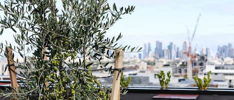 Una terraza en la azotea con un olivo, vistas del horizonte urbano y una mesa de madera.