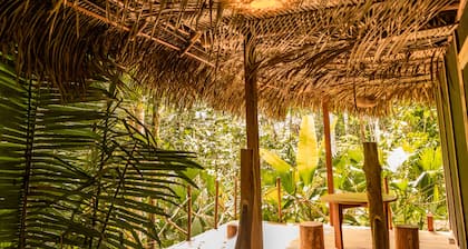 Awaken Yoga Eco Resort in Amazon jungle