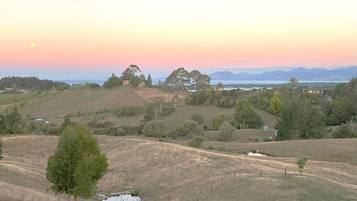 A rural landscape with rolling hills, scattered trees, and a small body of water.