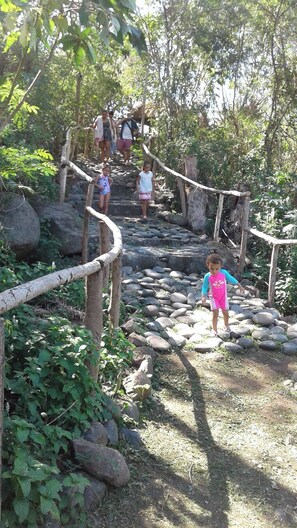 A natural outdoor setting with a wooden bridge over a rocky path, surrounded by greenery. - Room-outback Retreat Hotel (Ba)