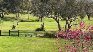 A golf course with well-maintained grass, trees, and a clear view of the surrounding landscape. -  Beaches / Family Getaway / Amazing views / Golf / Wineries / Hot springs.
 


 (Rosebud)