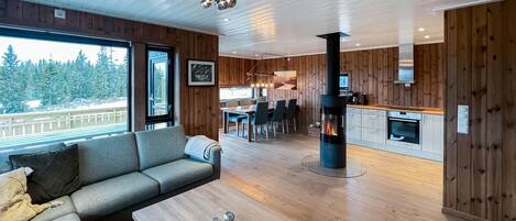 TV connectée, cheminée