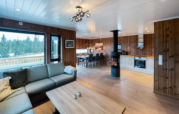 Smart TV, fireplace