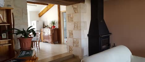 TV, fireplace, books