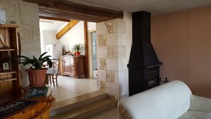 Télévision, cheminée, livres