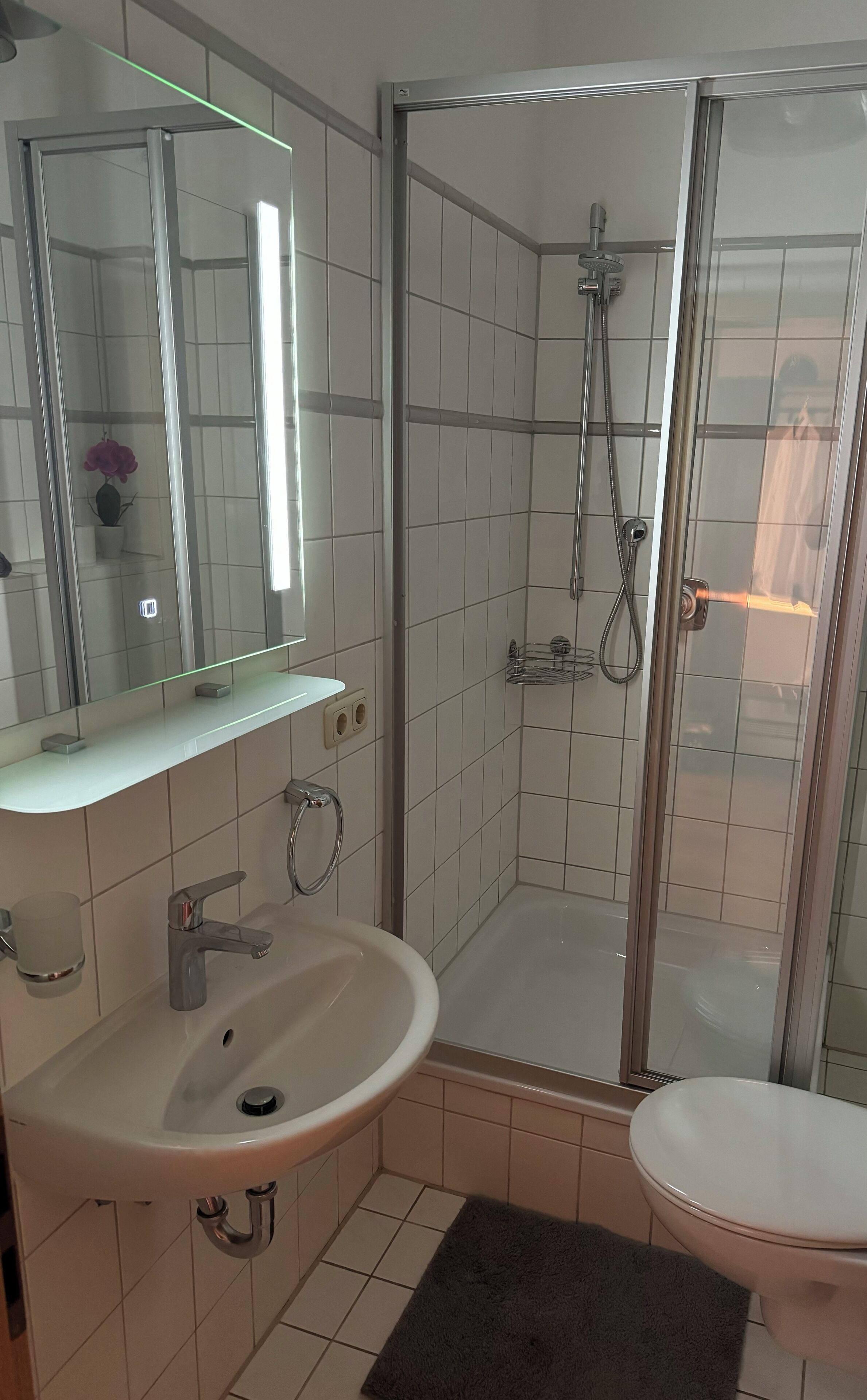 Een badkamer met een douchecabine van glas, een wastafel met spiegel en een toilet.
