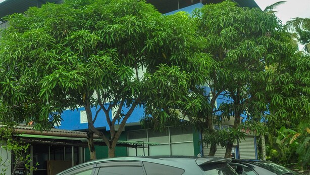 A car parked in front of a building with a blue exterior and a green roof.