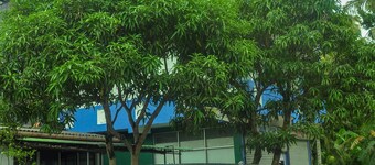 Airport Tourist Resort