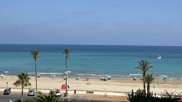 Une plage bordée de palmiers, un ciel dégagé et un voilier à l’horizon.