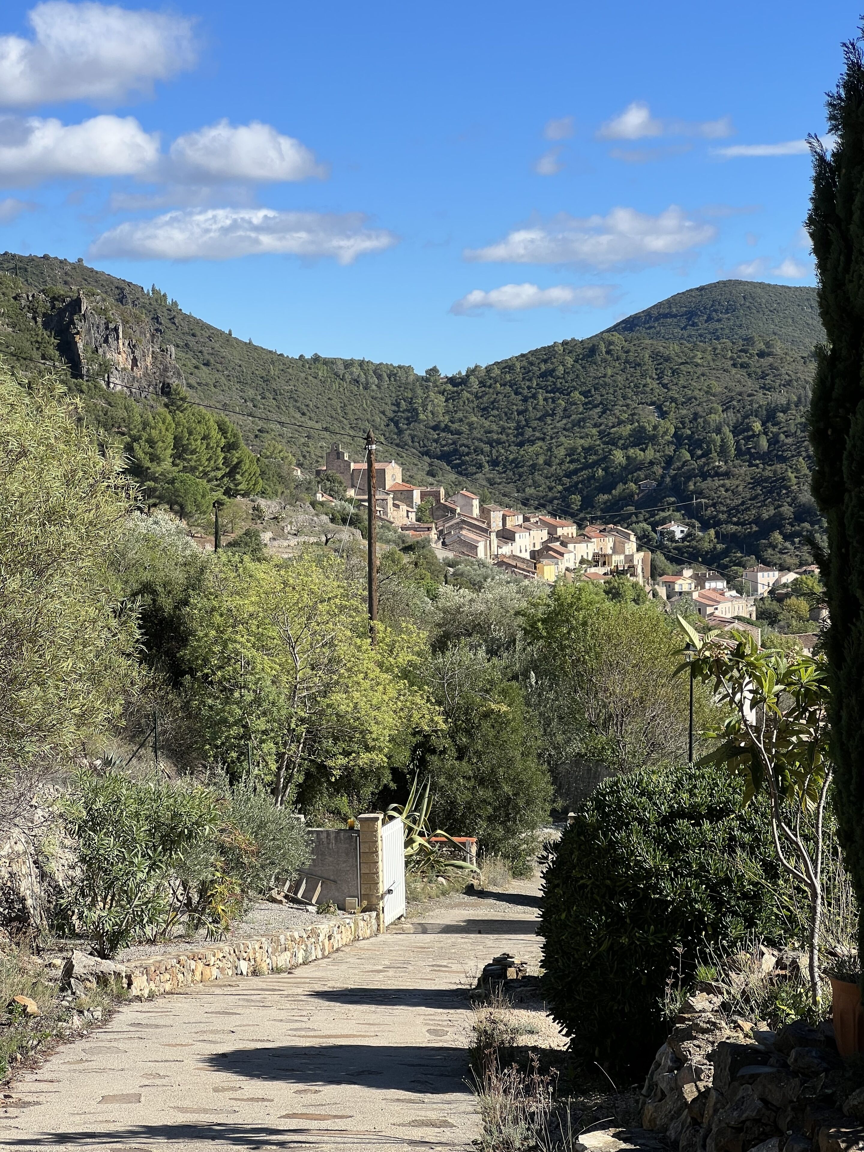 A rural village with stone buildings, a paved road, and lush greenery.