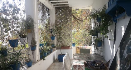 Casa Zitouna- Guest House - Kef, Tunisia