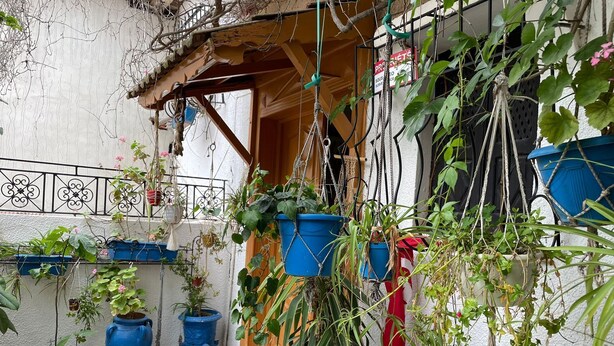 Un patio con plantas en macetas, una pérgola de madera y un buzón azul.