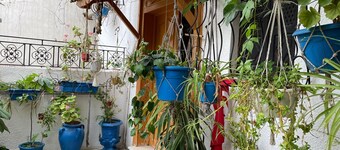Casa Zitouna- Guest House - Kef, Tunisia