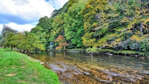 A river with clear water, surrounded by green trees and a grassy bank.