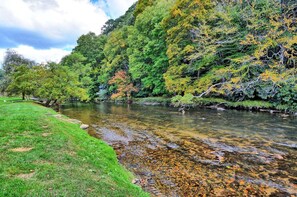 A river with clear water, surrounded by green trees and a grassy bank.