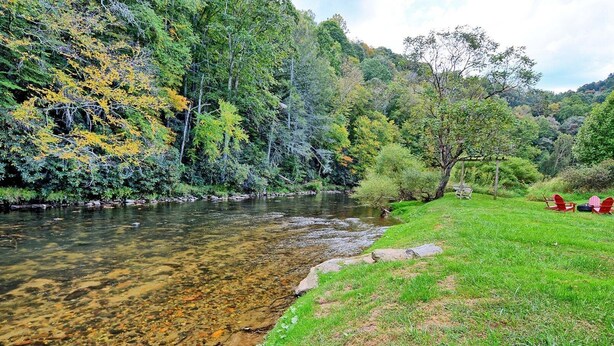 A river with clear water, surrounded by lush greenery and trees.