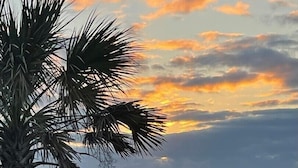 A palm tree in the foreground with a view of the ocean and a sunset in the background. - Ocean 180 | True Oceanfront End Unit with 180° Views in Wild Dunes (Isle of Palms)