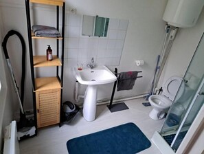 Shower, towels, toilet paper