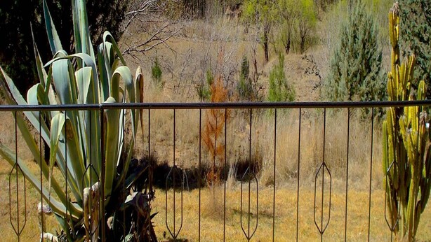 A fenced area with various desert plants and a distant mountain. - Khutsong Lodge (Maseru)