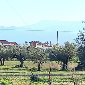 Cottage | Property grounds