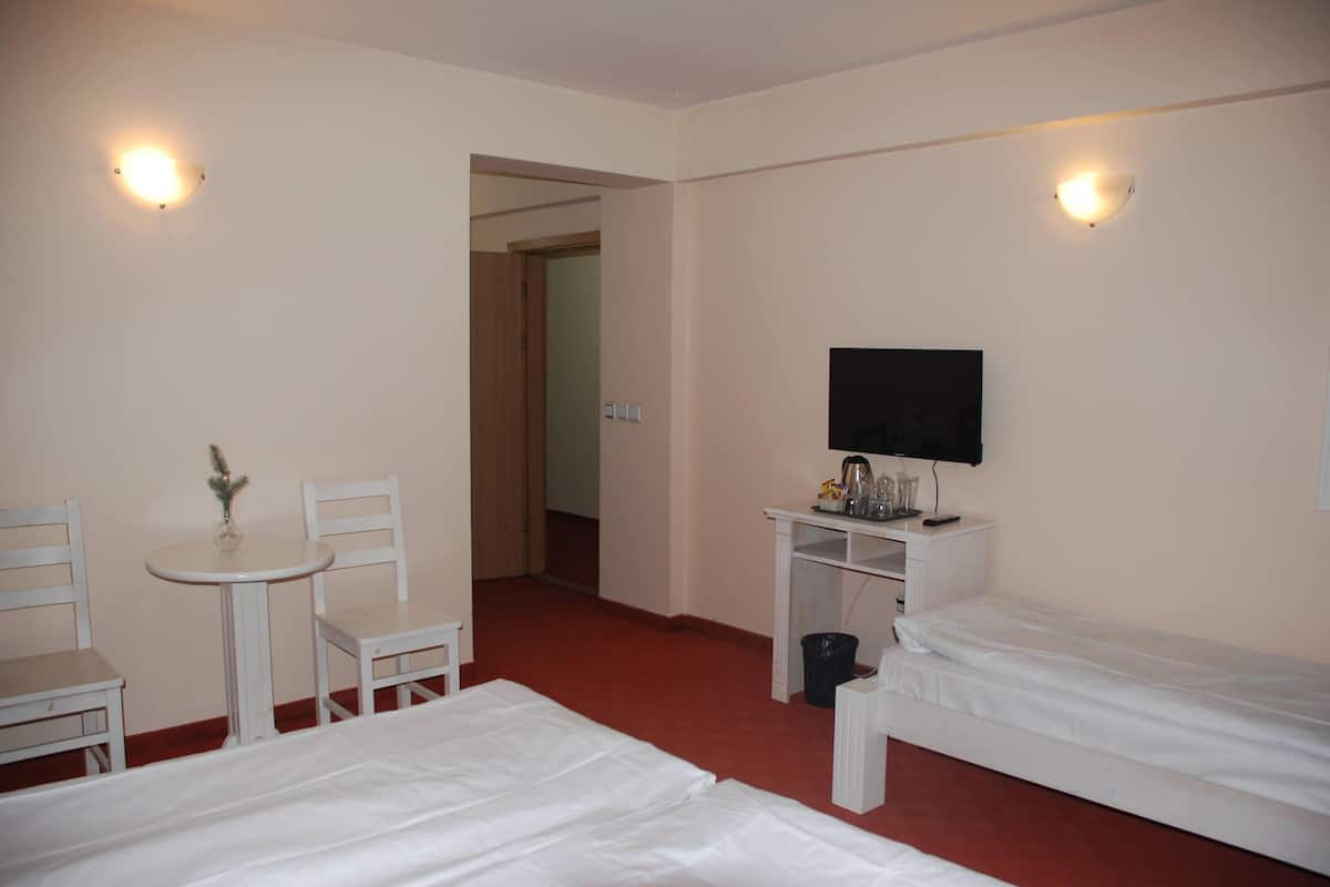 Triple Room | Minibar, desk, soundproofing, free WiFi