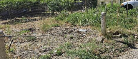 Apartment | Property grounds