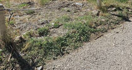 Apartmentantica Family Apartment