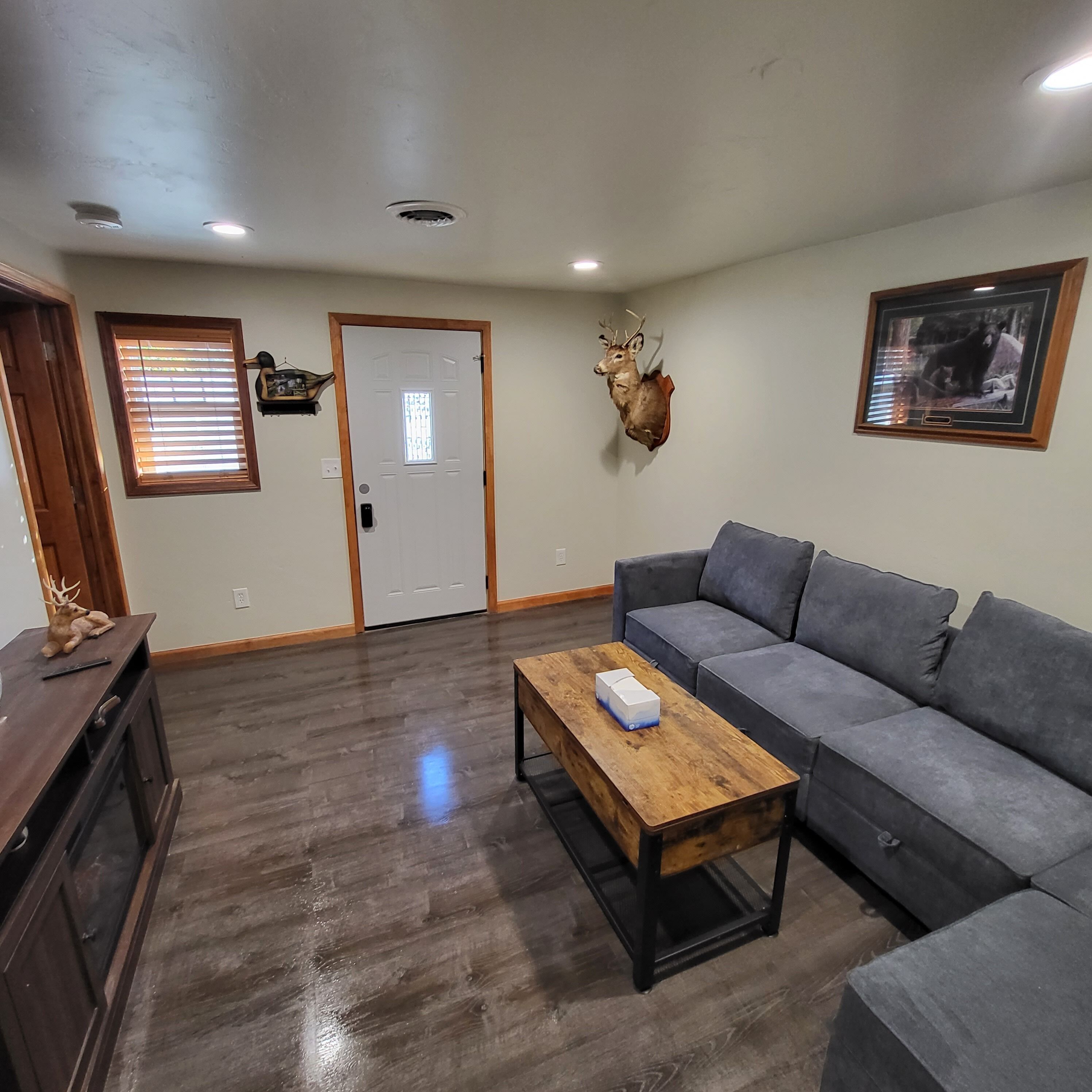 TV connectée, cheminée, jeux vidéo