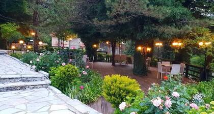 Hotel Alpin