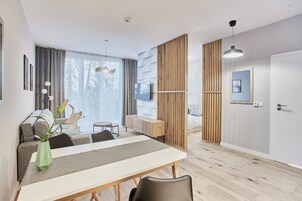 Superior Apartment | Living area | 14-inch LCD TV with cable channels